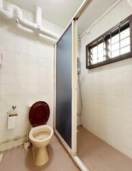 Blk 238 Compassvale Plains (Sengkang), HDB 4 Rooms #496037531